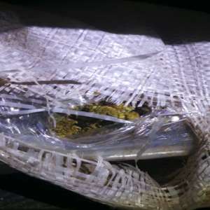 Impressive catch, about a ton of cannabis found at Giurgiu Border Crossing Point