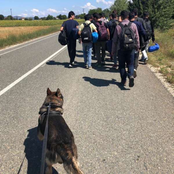 Poliţişti de frontieră români participanţi la programe Frontex