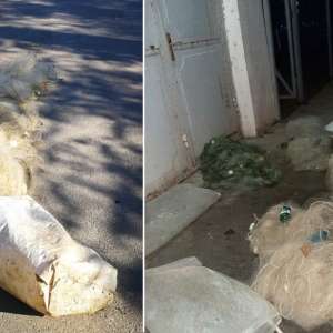 Plase pescăreşti în lungime de aproximativ 370 m, confiscate de poliţiştii de frontieră