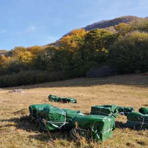 Focuri de armă și un cetăţean ucrainean reţinut la frontiera de nord