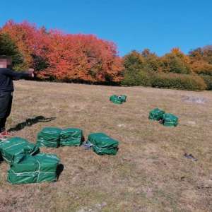 Focuri de armă și un cetăţean ucrainean reţinut la frontiera de nord