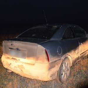 Zeci de kilograme de peşte, confiscate de polițiștii de frontieră