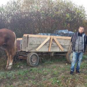 Aproximativ 21.200 pachete cu țigări confiscate la frontiera de nord
