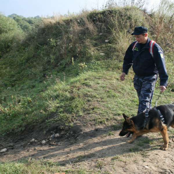 Mobilizare de forţe pentru a găsi un bărbat dispărut în pădure