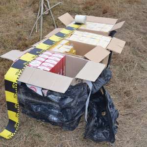 Aproximativ 12.000 pachete cu țigări confiscate la frontiera de nord
