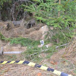 Aproximativ 12.000 pachete cu țigări confiscate la frontiera de nord