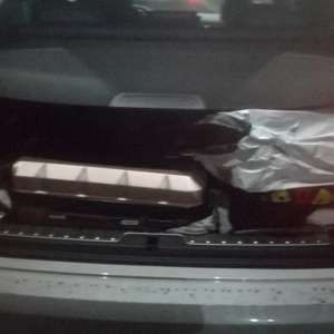 Nouă cetăţeni asiatici, descoperiți la frontiera cu Ungaria