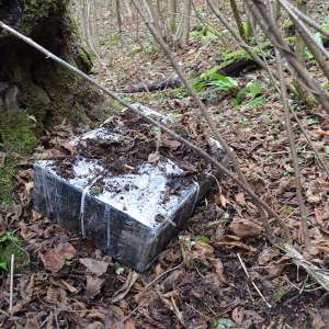 7.500 pachete cu țigări de contrabandă, confiscate la frontiera de nord