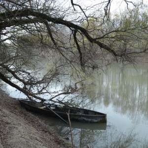 Infracțiuni constatate în cadrul cooperării transfrontaliere