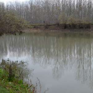 Cetăţean moldovean depistat în tentativă de trecere ilegală a frontierei de stat