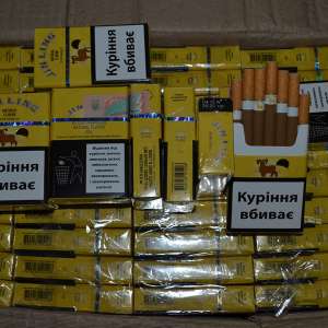 Țigări în valoare de 14.000 lei confiscate la frontiera de nord