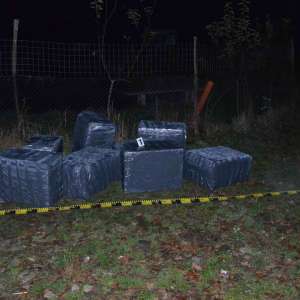 Doi cetățeni ucraineni cercetați pentru contrabandă și peste 19.200 de pachete cu țigări confiscate la frontiera de nord