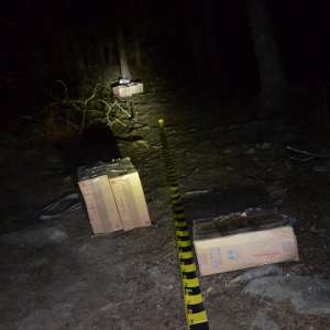 Aproximativ 38.500 de pachete cu țigări de contrabandă, confiscate la frontiera de nord a României