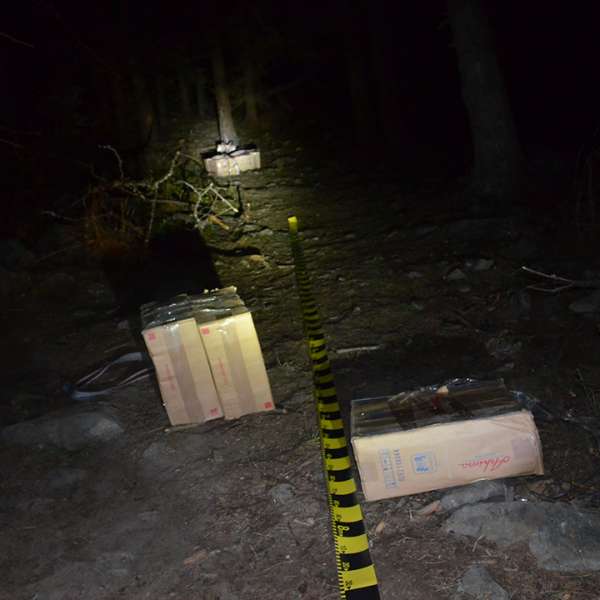 Aproximativ 38.500 de pachete cu țigări de contrabandă, confiscate la frontiera de nord a României