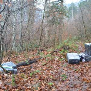 Aproximativ 25.000 de pachete cu țigări, confiscate la frontiera de nord