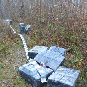 Aproximativ 25.000 de pachete cu țigări, confiscate la frontiera de nord
