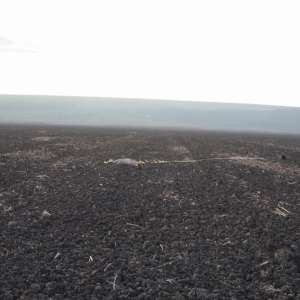 Braconier depistat în zona de responsabilitate