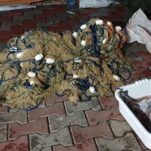 Perchiziţii domiciliare la persoane implicate în activităţi de braconaj piscicol