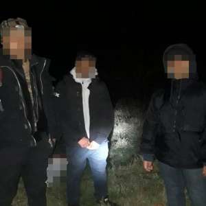 Doi cetăţeni tunisieni și un egiptean  depistaţi în localitatea sătmăreană Oar