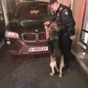 Colegul din viaţa noastră