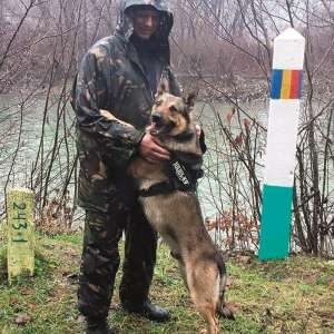 Cel mai bun câine poliţist din MAI execută misiuni cu poliţistul de frontieră Toader Koman la SPF Vişeu de Sus