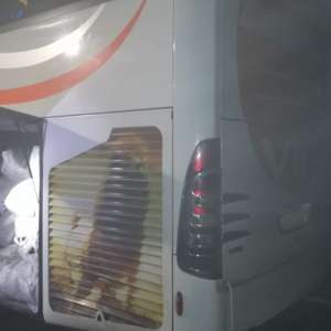 Aproximativ 470 kg de peşte din specia calcan, transportate fără documente legale, confiscate de polițiștii de frontieră în P.T.F. Vama Veche