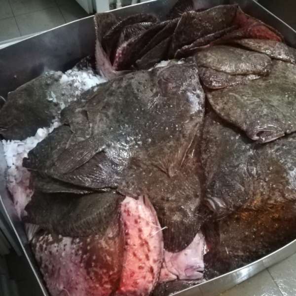 Aproximativ 470 kg de peşte din specia calcan, transportate fără documente legale, confiscate de polițiștii de frontieră în P.T.F. Vama Veche