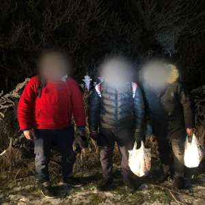 Patru cetăţeni din Algeria şi unul din Libia, opriți de poliţiştii de frontieră în Satu Mare