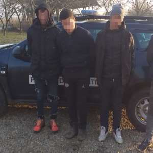 Patru cetățeni din Algeria şi Siria, opriți de poliţiştii de frontieră la graniţa cu Ungaria