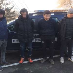 Patru cetățeni din Algeria şi Siria, opriți de poliţiştii de frontieră la graniţa cu Ungaria