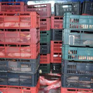  Peste 350 kg peşte transportate fără documente legale, confiscate de poliţiştii de frontieră tulceni