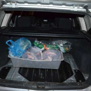 Peste 90 kg de pește, confiscate de poliţiştii de frontieră