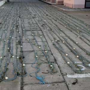 Lucrări penale pentru braconaj piscicol,  întocmite de poliţiştii de frontieră