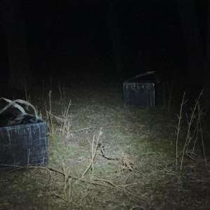 Ţigări de contrabandă de peste 123.250 lei reţinute cu focuri de armă la frontiera de est