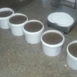 55 kg icre transportate fără documente legale, confiscate de poliţiştii de frontieră tulceni