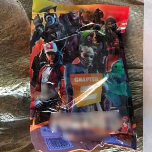 Jucării în valoare de peste 177.000 lei,      confiscate în Portul Constanţa Sud Agigea