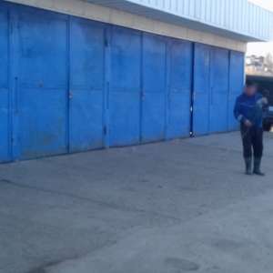 Infracțiuni de braconaj piscicol constatate de polițiștii de frontieră brăileni și gălățeni