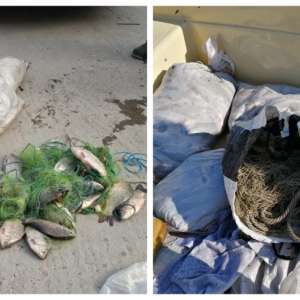 Aproximativ 100 kg peşte fără documente legale, confiscate de poliţiştii de frontieră tulceni