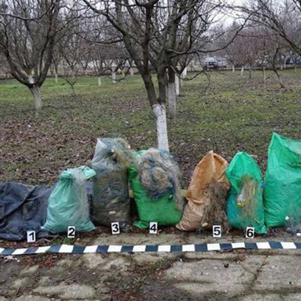Plase de pescuit în lungime de aproximativ 1.200 m, confiscate de poliţiştii de frontieră