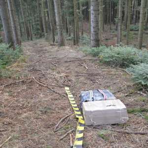 Peste 9.000 pachete țigări depistate la graniţa cu Ucraina