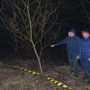 Doi ucraineni și un român cercetați pentru contrabandă și peste 7.000 pachete cu țigări confiscate