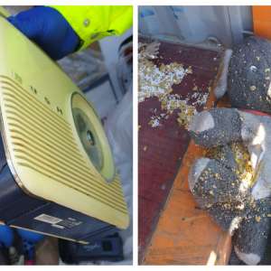 Încă un container cu deșeuri depistat în Portul Constanţa Sud Agigea