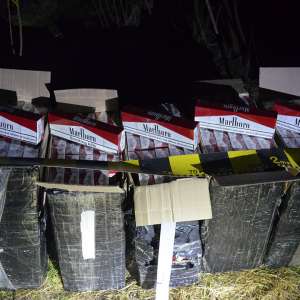 Peste 12.000 pachete cu țigări reținute la frontiera de nord