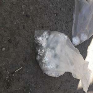 Canabis descoperit de polițiștii de frontieră asupra a doi tineri din Maramureș