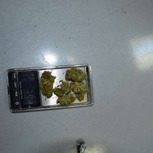 Doi maramureșeni prinși cu canabis asupra lor