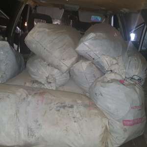 Peste 350 kg peşte și plase de pescuit,       confiscate de polițiștii de frontieră