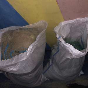 Peste 350 kg peşte și plase de pescuit,       confiscate de polițiștii de frontieră