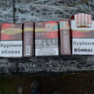 Un autoturism încărcat cu 7.000 de pachete cu țigări confiscat de polițiștii de frontieră maramureșeni