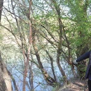 Cetăţean din R.Moldova oprit la frontieră, după ce a incercat să intre ilegal în România