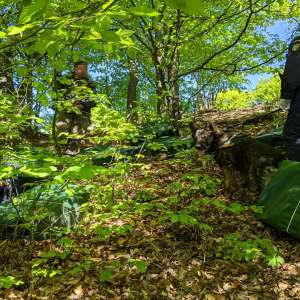 Aproximativ 40.000 de pachete cu țigări de contrabandă depistate la graniţa cu Ucraina